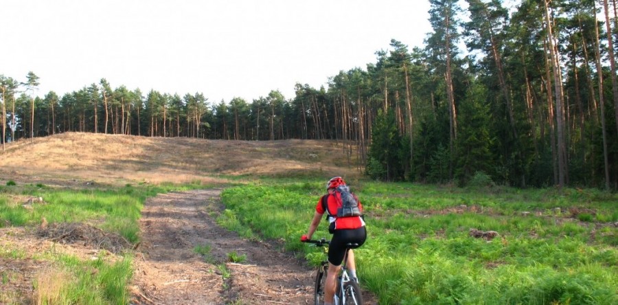 Dolina Baryczy – teren