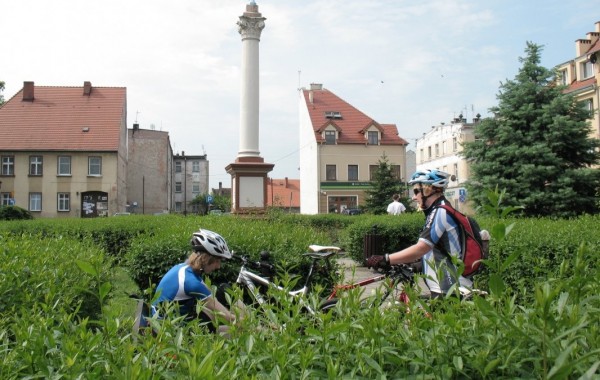 Dolina Baryczy – dzikie rejony